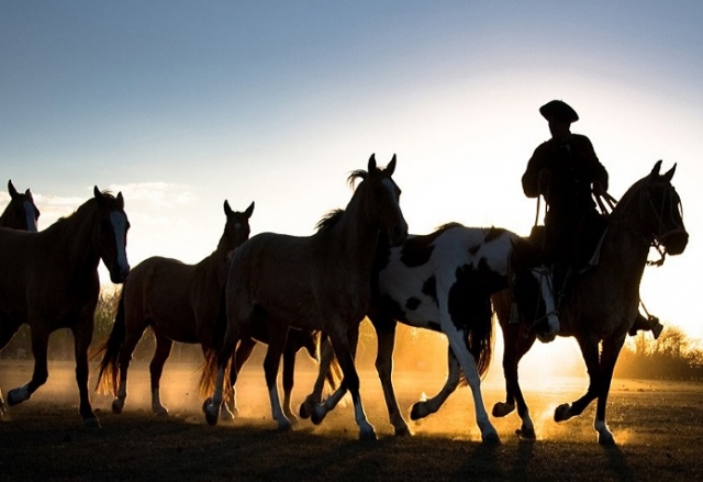rutas a caballo en Valte